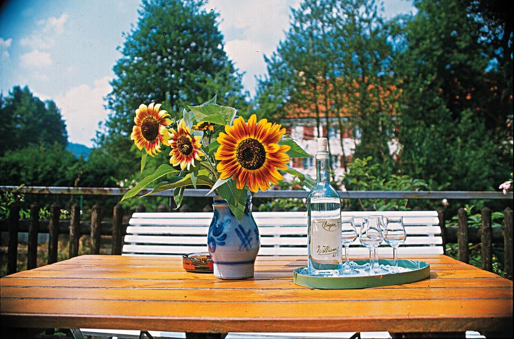 Kloesterle Hof Bad Rippoldsau-Schapbach Ngoại thất bức ảnh
